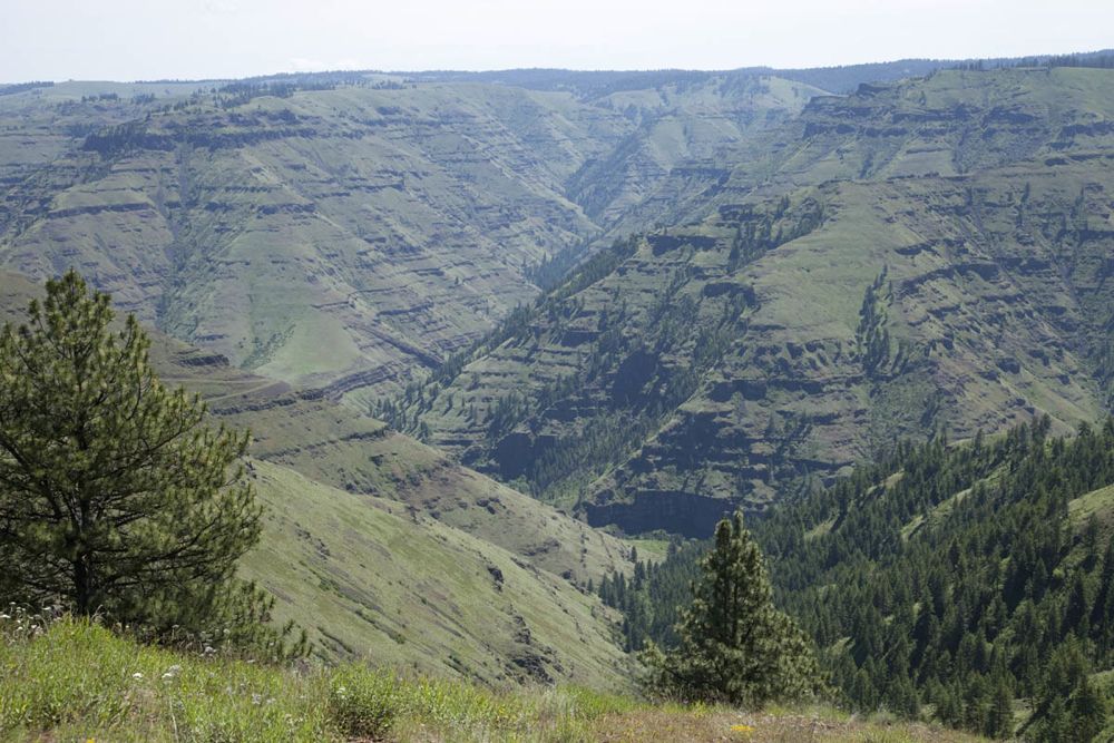 View from Chief Joseph Overlook