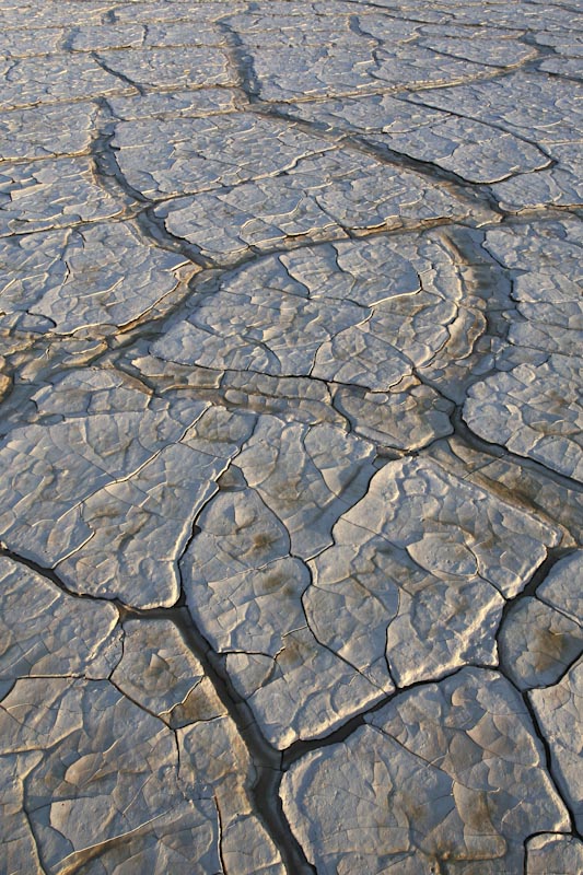 mudcracks