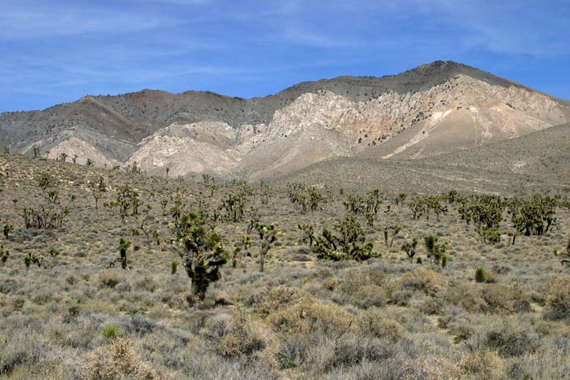 intrusive contact, southern Sierra Nevada
