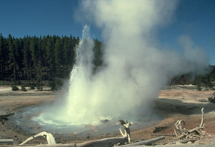 Echinus Geyser, Yellowstone NP.