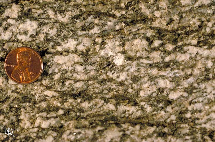 SC fabric in gneiss