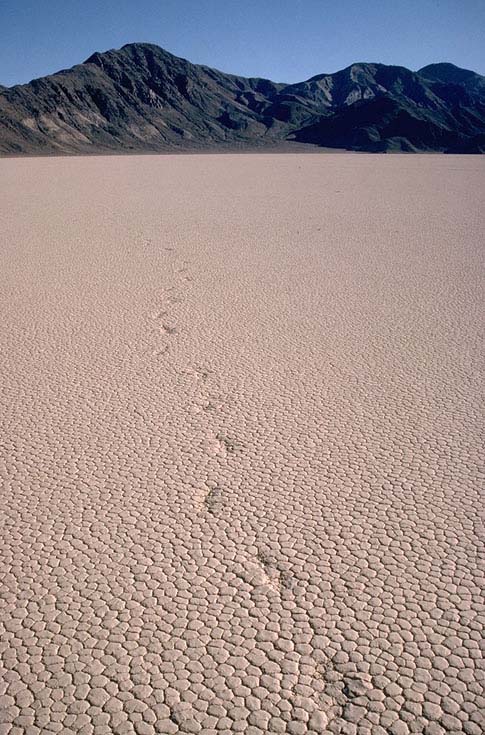 Racetrack Playa