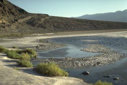 Badwater Spring