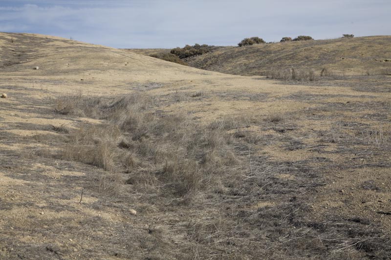 Aerial view of San Andreas fault 