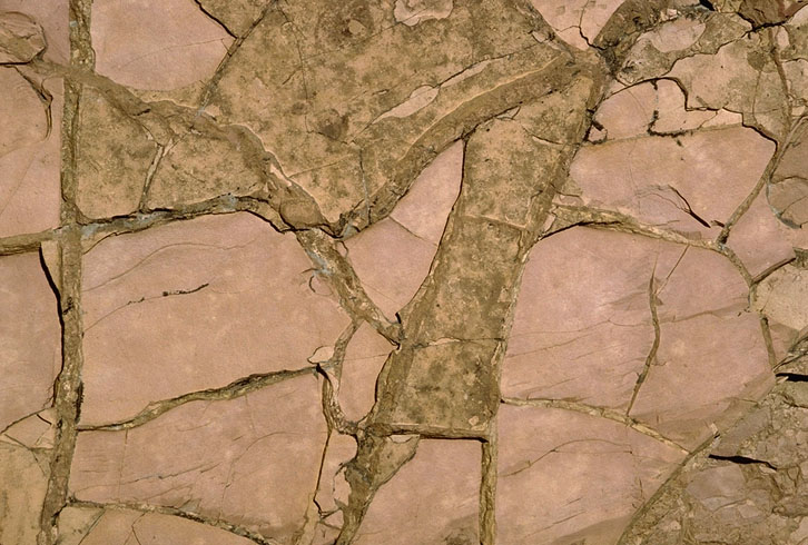 Mudcracks in Proterozoic dolomite, Snowslip Fm., Glacier National Park, Montana.