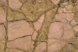 Mudcracks