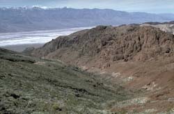 Copper Canyon Turtleback fault